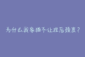 为什么我家猫不让捏后颈皮？-动物百科