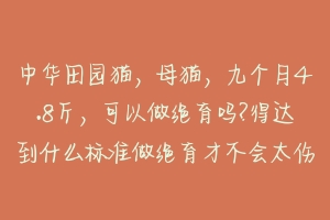 中华田园猫，母猫，九个月4.8斤，可以做绝育吗?得达到什么标准做绝育才不会太伤害身体啊？-动物百科