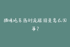 猫咪吃东西时流眼泪是怎么回事？-动物百科