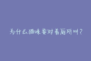 为什么猫咪要对着厕所叫？-动物百科