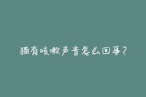猫有咳嗽声音怎么回事?-动物百科