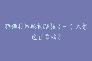 猫猫打吊瓶前腿鼓了一个大包这正常吗?-动物百科