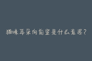 猫咪耳朵向前竖是什么意思?-动物百科