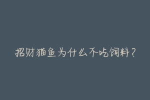 招财猫鱼为什么不吃饲料?-动物百科