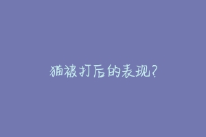 猫被打后的表现?-动物百科