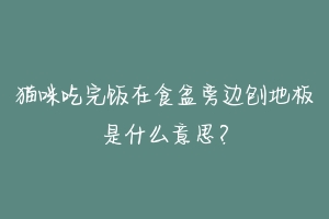 猫咪吃完饭在食盆旁边刨地板是什么意思?-动物百科