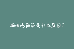 猫咪吃南瓜是什么原因?-动物百科