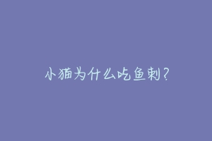 小猫为什么吃鱼刺？-动物百科