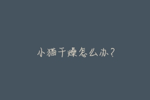 小猫干燥怎么办？-动物百科