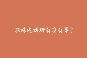 猫咪吃蟑螂有没有事？-动物百科