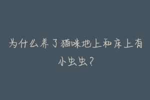 为什么养了猫咪地上和床上有小虫虫?-动物百科