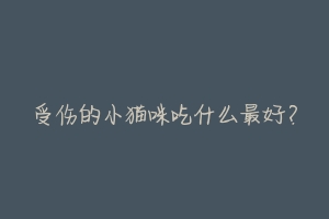 受伤的小猫咪吃什么最好?-动物百科