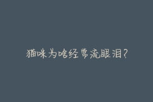 猫咪为啥经常流眼泪?-动物百科