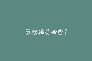 五粉猫有哪些?-动物百科