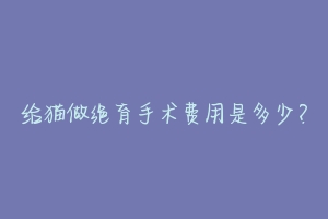 给猫做绝育手术费用是多少?-动物百科