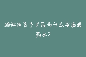 猫做绝育手术后为什么要滴眼药水?-动物百科