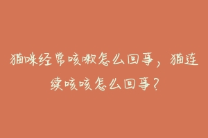 猫咪经常咳嗽怎么回事,猫连续咳咳怎么回事?-动物百科