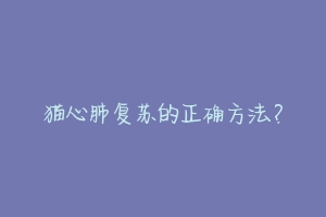 猫心肺复苏的正确方法?-动物百科
