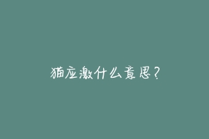 猫应激什么意思?-动物百科