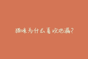 猫咪为什么喜欢地漏?-动物百科