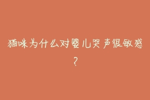 猫咪为什么对婴儿哭声很敏感？-动物百科