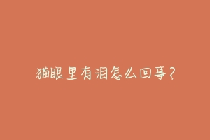 猫眼里有泪怎么回事？-动物百科