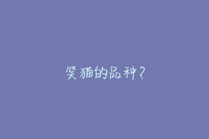 笑猫的品种?-动物百科