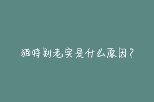 猫特别老实是什么原因?-动物百科