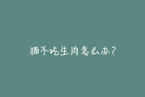 猫不吃生肉怎么办?-动物百科
