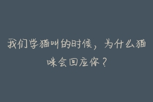 我们学猫叫的时候,为什么猫咪会回应你?-动物百科