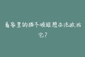 看家里的猫不顺眼想办法收拾它?-动物百科