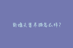新婚夫妻养猫怎么样?-动物百科