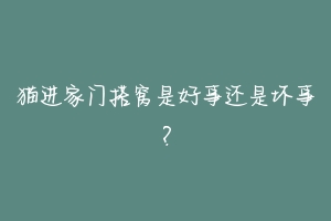 猫进家门搭窝是好事还是坏事?-动物百科