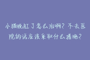 小猫脱肛了怎么治啊?不去医院的话应该采取什么措施?-动物百科