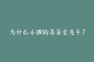 为什么小猫的耳朵会变平?-动物百科