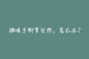 猫咪手脚掌发热,怎么办?-动物百科