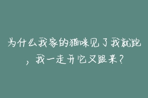 为什么我家的猫咪见了我就跑,我一走开它又跟来?-动物百科