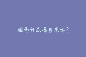 猫为什么喝自来水?-动物百科