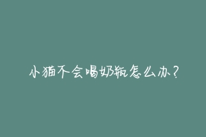 小猫不会喝奶瓶怎么办?-动物百科