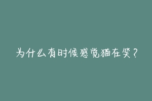 为什么有时候感觉猫在笑?-动物百科