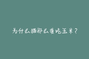 为什么猫那么爱吃玉米?-动物百科