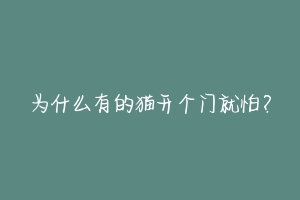 为什么有的猫开个门就怕？-动物百科