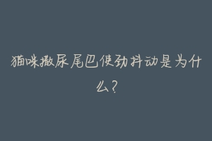 猫咪撒尿尾巴使劲抖动是为什么？-动物百科