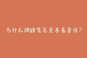 为什么猫睡觉总是卷着身体？-动物百科