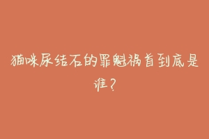 猫咪尿结石的罪魁祸首到底是谁？-动物百科