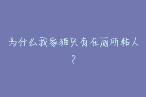 为什么我家猫只有在厕所粘人？-动物百科