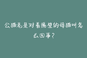 公猫老是对着隔壁的母猫叫怎么回事？-动物百科