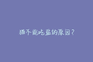 猫不能吃盐的原因?-动物百科