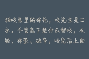 猫咬窝里的棉花，咬完全是口水。不管底下垫什么都咬，衣服、棉垫、破布，咬完后上面全是口水，整个都湿透？-动物百科