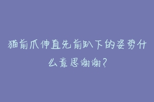 猫前爪伸直先前趴下的姿势什么意思谢谢？-动物百科
